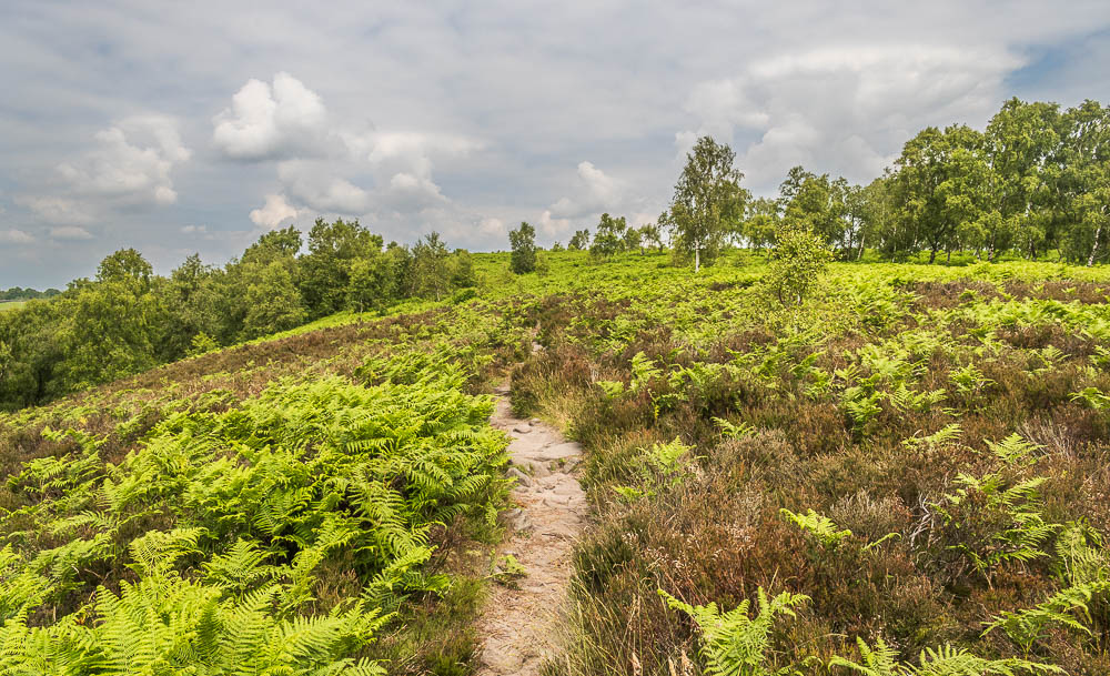Birchen Edge Birchen Edge